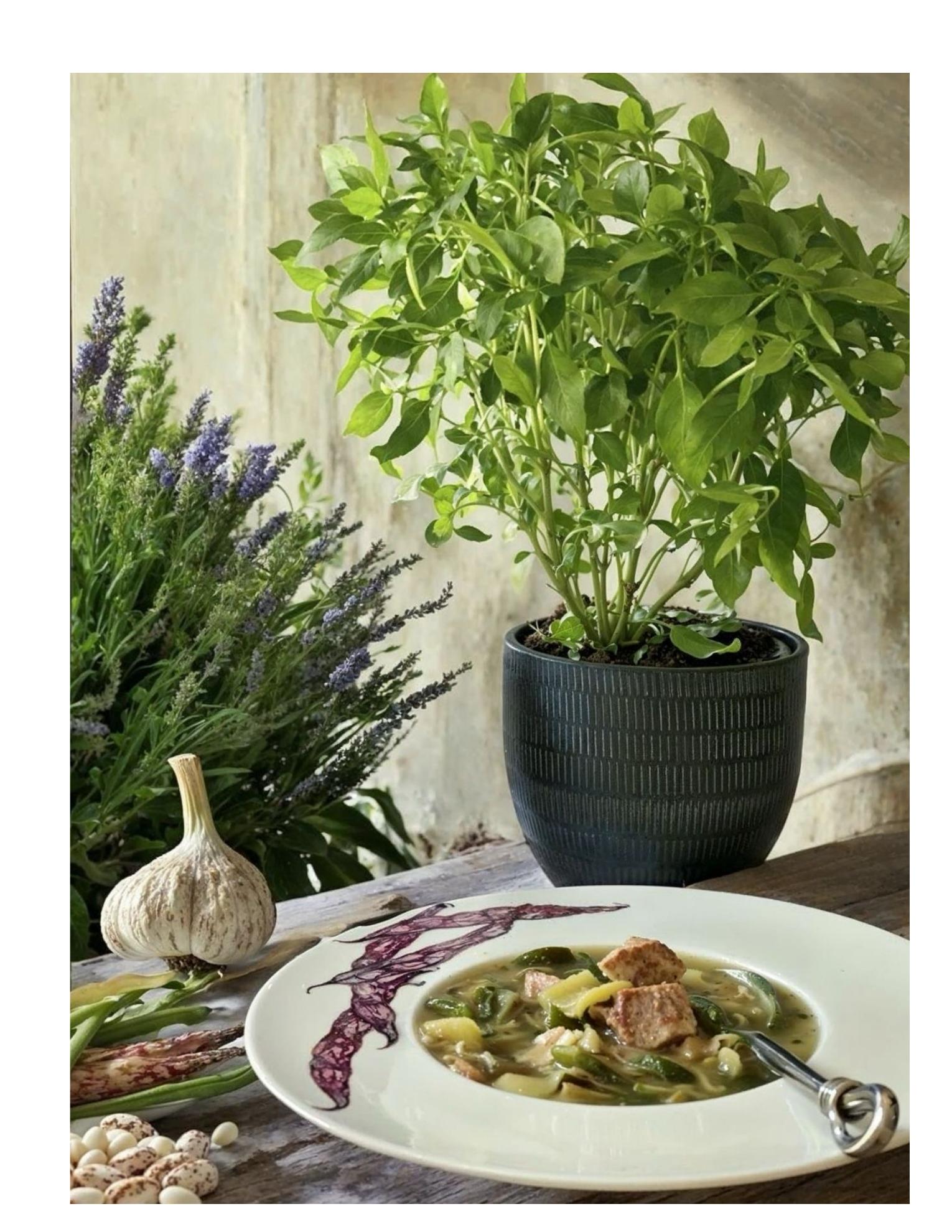 Soupe au pistou