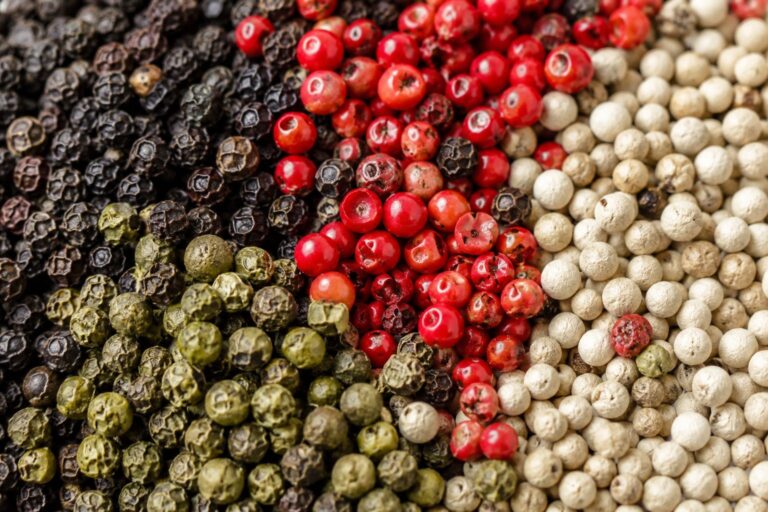 Le poivre, couleurs, terroirs et baies à choisir