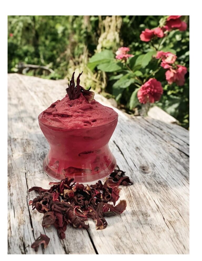 Sorbet à la fleur d&rsquo;hibiscus