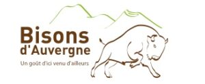 Les bisons d&rsquo;Auvergne