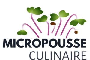 Ma micro pousse culinaire